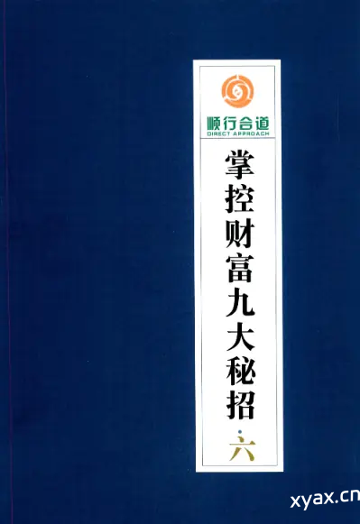 《掌控财富九大秘招第6册》PDF版电子书籍