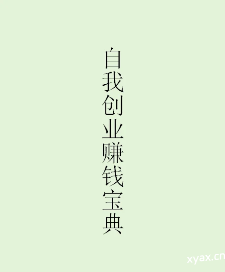 《自我创业赚钱宝典》PDF版电子书籍