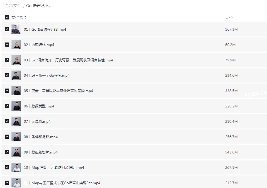 Go语言从入门到实战课程