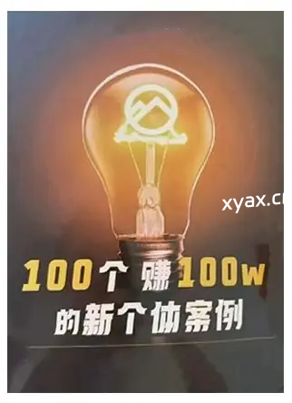 《100个赚100万的新个体案例》PDF版电子书籍