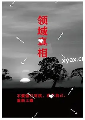 《领域真相》PDF版电子书籍