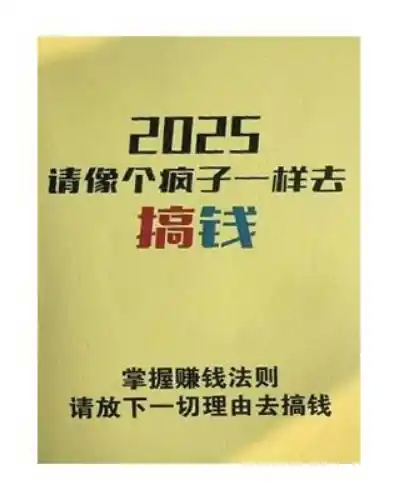 《2025请像个疯子一样去搞钱》PDF版电子书籍