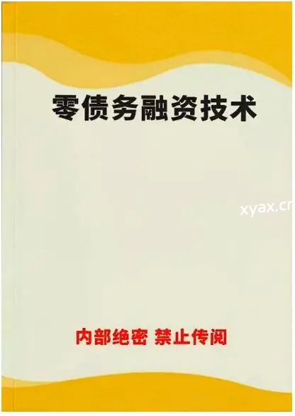 《零债务融资技术》PDF版电子书籍