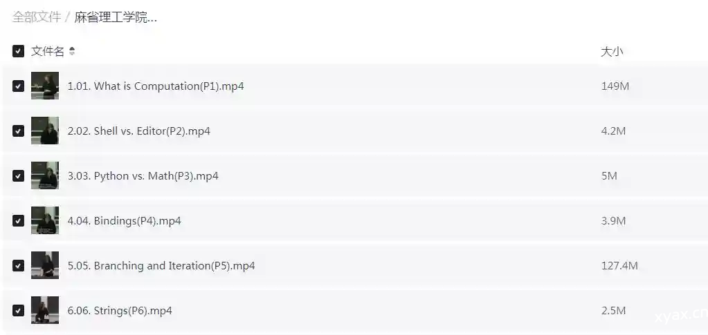 麻省理工学院Python编程和计算机科学导论公开课（中英字幕）