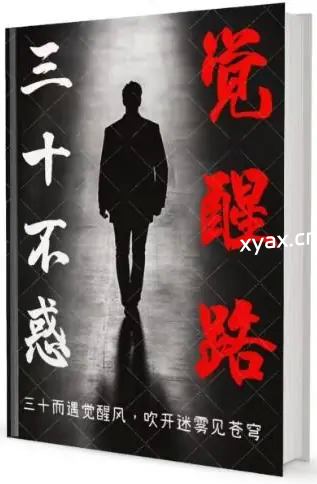 《三十不惑觉醒路》PDF版电子书籍