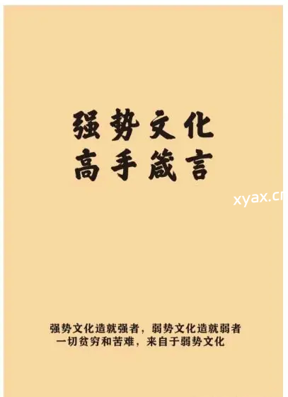 《强势文化高手箴言》PDF版电子书籍