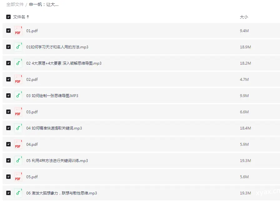 申一帆让大脑威力加倍的20堂思维导图课程（完结）