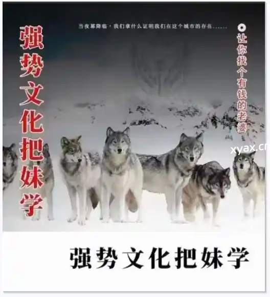 《强势文化把妹学》PDF版电子书籍