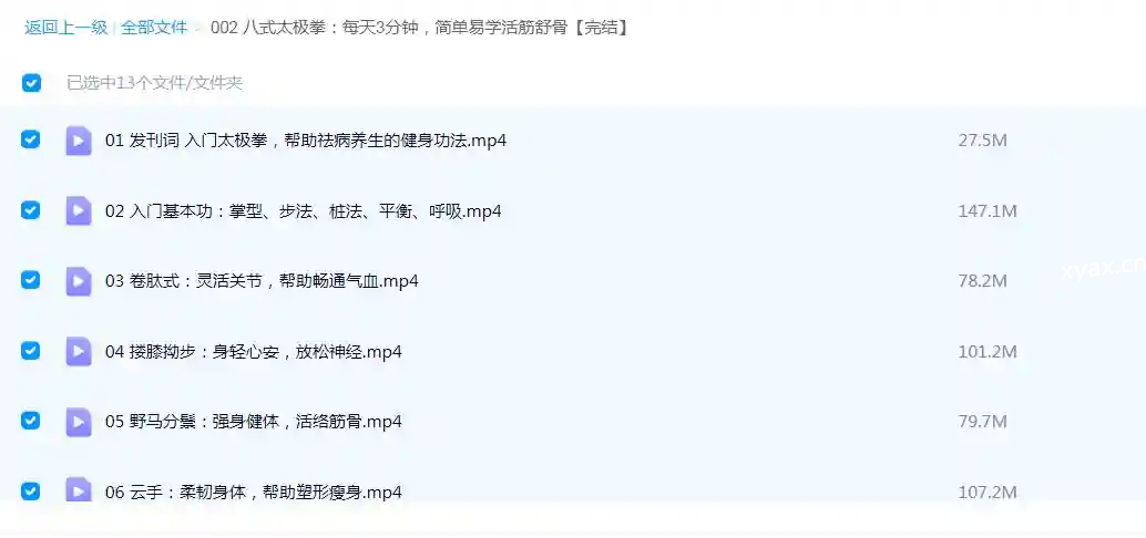 八式太极拳视频课程