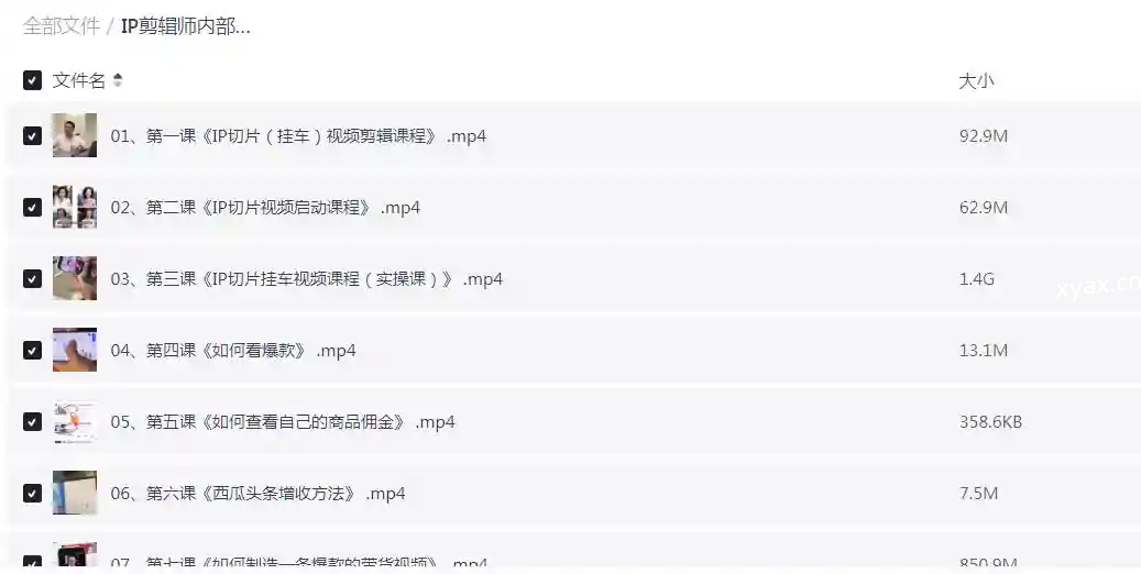 IP剪辑师教你制造爆款内部课程