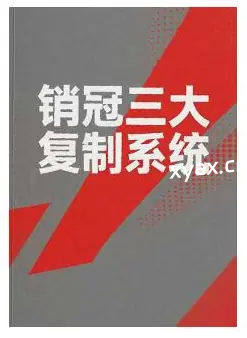《销冠三大复制系统》PDF版电子书籍
