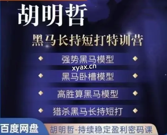 胡明哲黑马长持短打特训营课程