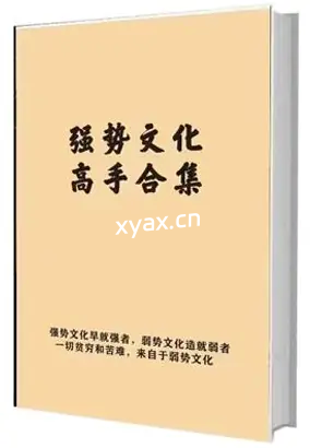 《​强势文化：成为高手的必经之路》PDF版电子书籍