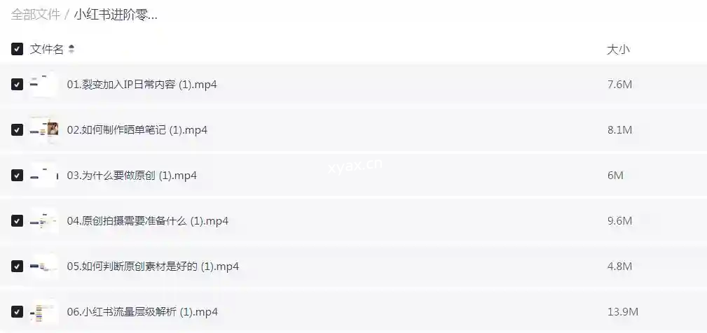 小红书进阶零基础小白实战课程