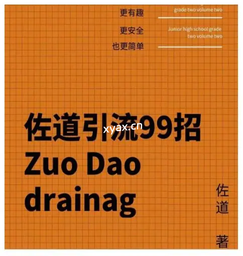 《佐道引流99招》PDF版电子书籍