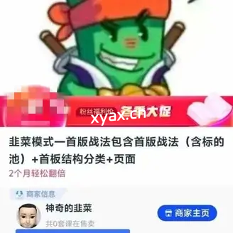 韭菜模式—首版战法包含首板战法课程