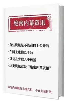 《绝‬‎密内幕资讯2.0》PDF版电子书籍