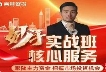 高能智投缪竹梁高阶妙手实战班全套课程