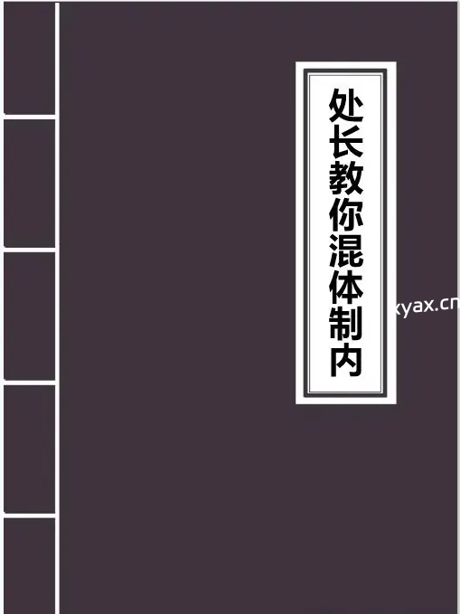 《处长教你混体制内》PDF版电子书籍