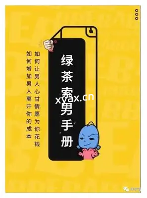 《绿茶索男手册》PDF版电子书籍