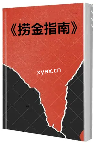《捞金指南》PDF版电子书籍