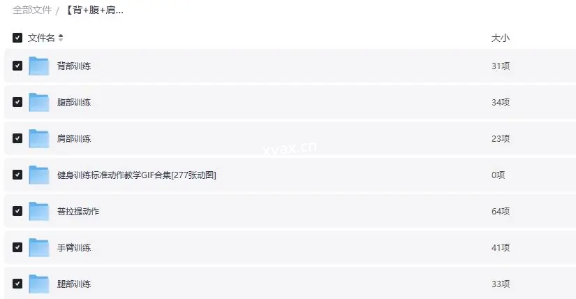 健身训练标准动作教学全套课程