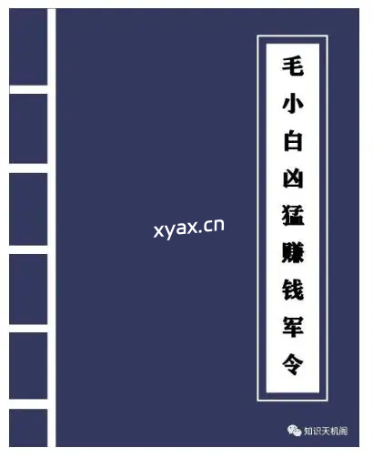 《毛小白凶猛赚钱军令》PDF版电子书籍