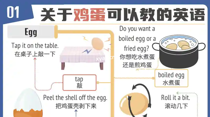 见物能聊《趣味英语100说》课程