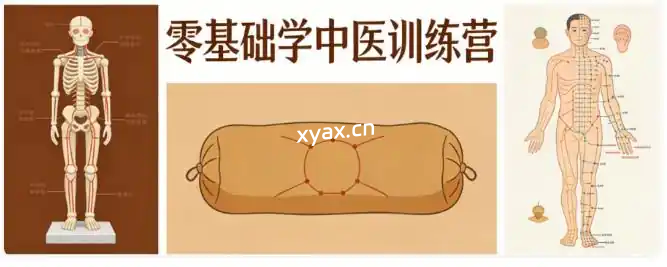 零基础学中医训练营课程