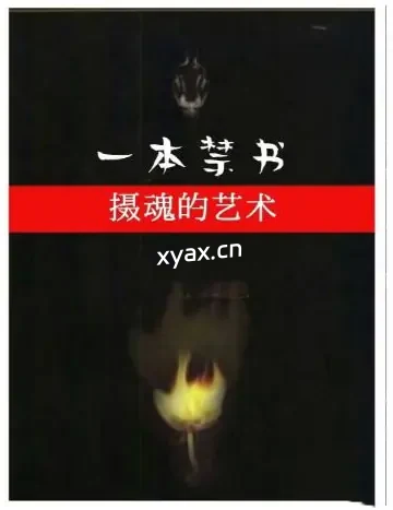 《摄魂的艺术》PDF版电子书籍