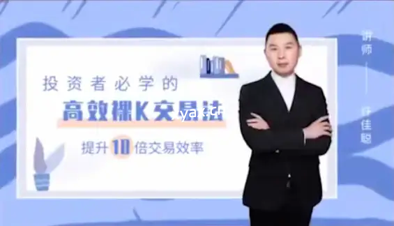 许佳聪裸K线交易法价格行为课程