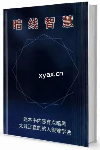 《暗线智慧》PDF版电子书籍