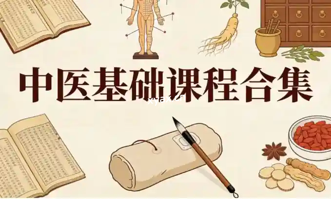 中医基础课程合集