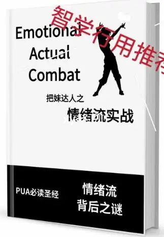 《情绪流实战》PDF版电子书籍