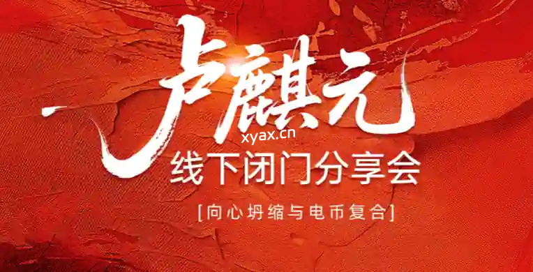 卢麟元老师货币体系重构与个人投资策略PDF