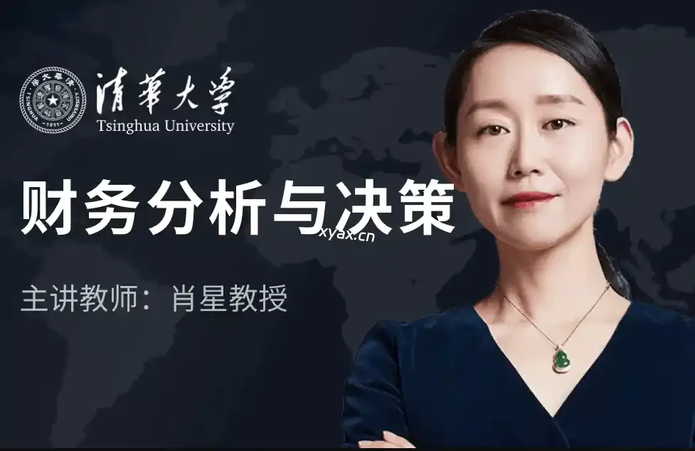 肖星教授财务分析与决策培训教程