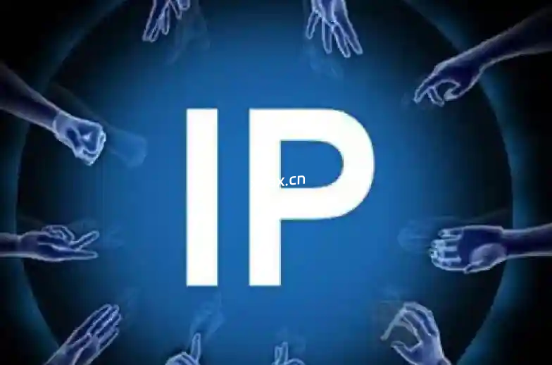 教你成熟专业的实操打造IP技能课程