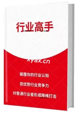 《快速成为行业高手》PDF版电子书籍