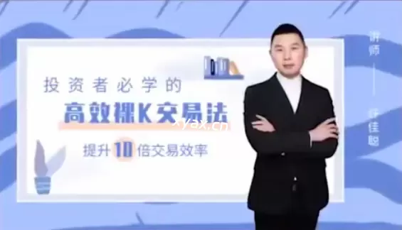 许佳聪裸K线交易法价格行为视频讲解课程