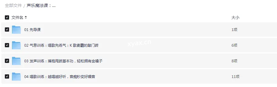 让你唱出动听歌声，秒变KTV麦霸的声乐魔法课程