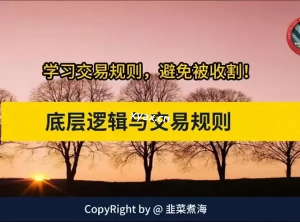 韭菜煮海《交易底层逻辑与交易规则》股市进阶必修课程