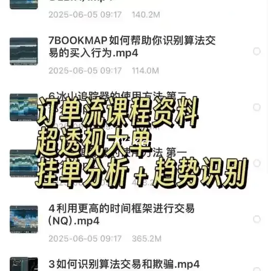 订单流超透视大单挂单分析趋势识别课程资料