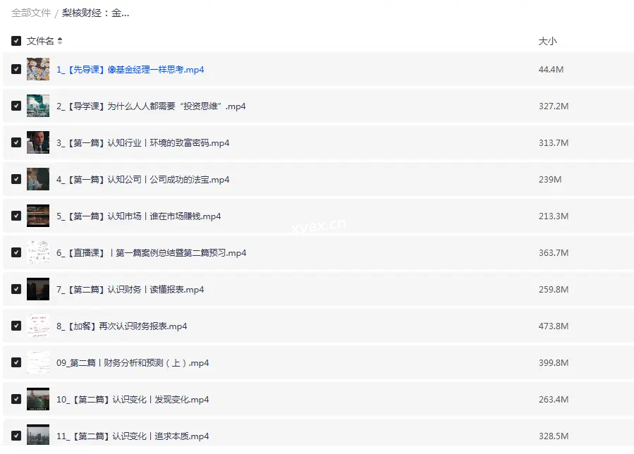 梨核财经金融通识与商业分析法课程（完结）