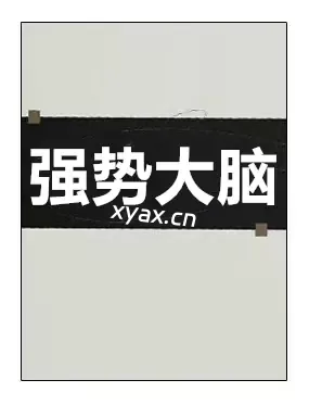 《强势大脑》PDF版电子书籍