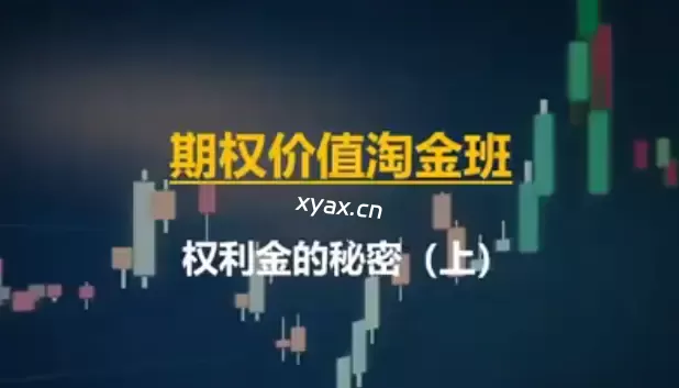 期权价值淘金班课程