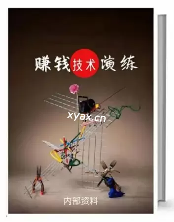 《赚钱技术演练》PDF版电子书籍