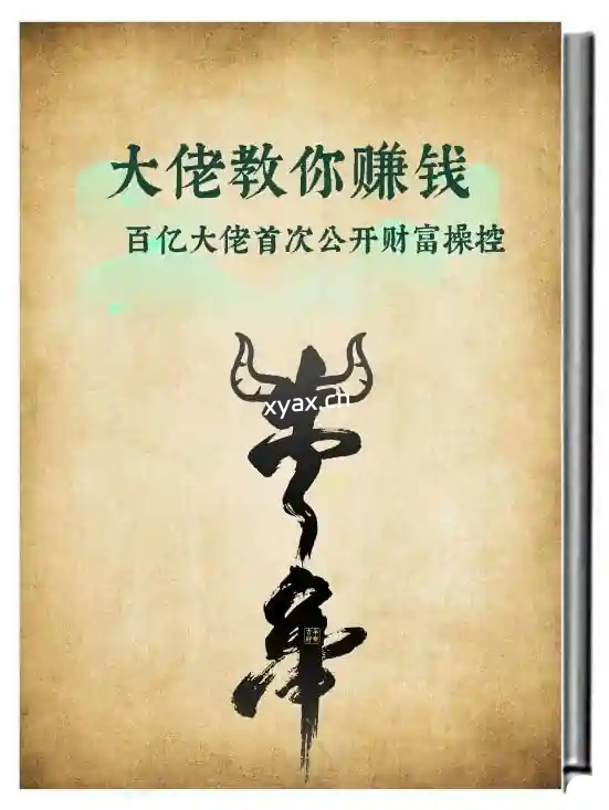 《大佬教你赚钱》PDF版电子书籍