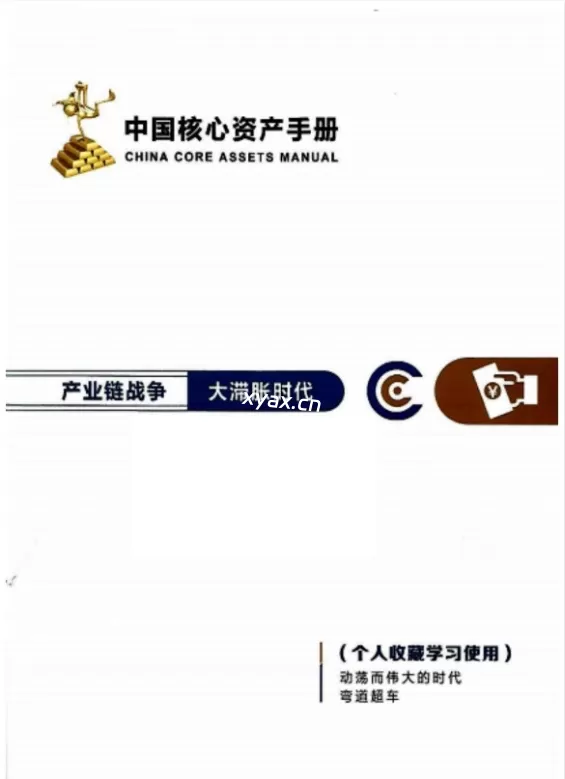 《中国核心资产手册》pdf版电子书籍
