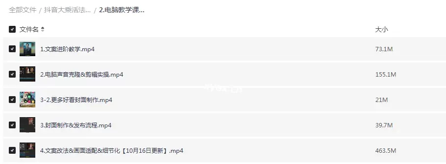 抖音大乘活法赛道实操教学课程