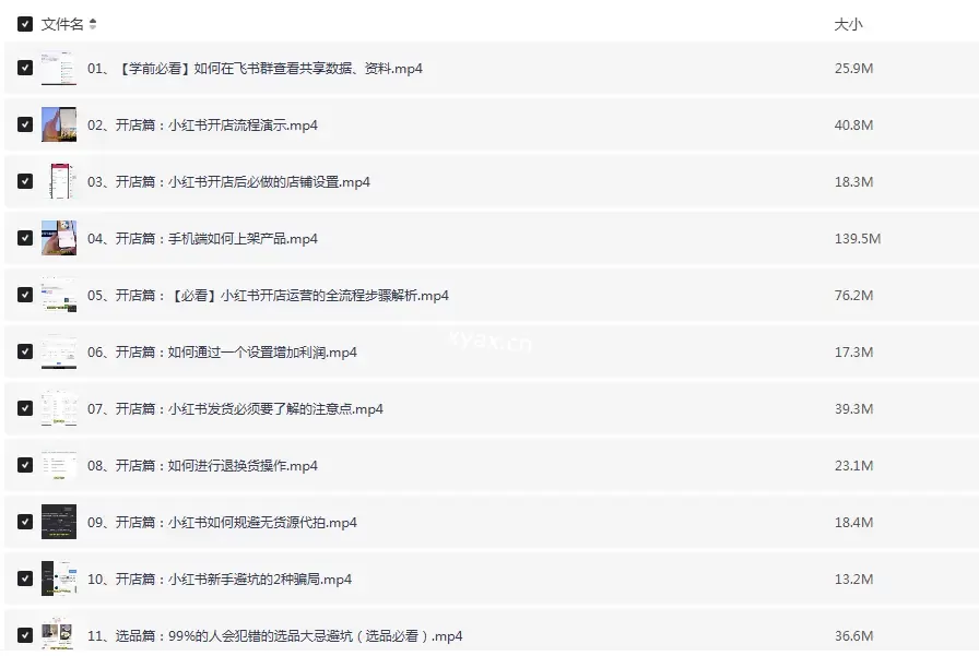 小红书电商特训班课程：开店选品+爆款笔记+AI提效